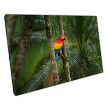 Load image into Gallery viewer, Vibrant Scarlet Macaw Photography: Tropical Rainforest Canvas Wall Art for Home and Office Decor - Print Store
