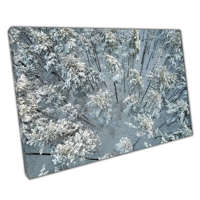 Aerial Winter Landscape: Frosted Pine & Birch Forest Canvas Wall Art for Modern Home Decor - Print Store