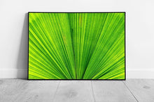 Load image into Gallery viewer, Vivid Green Palm Leaf Photography Wall Art Print  Extreme Abstract Close-Up Framed Picture - Print Store
