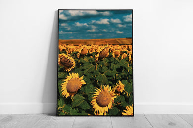 Vibrant Sunflower Field Wall Art: Framed Nature Print for Cheerful Home Decor - Print Store