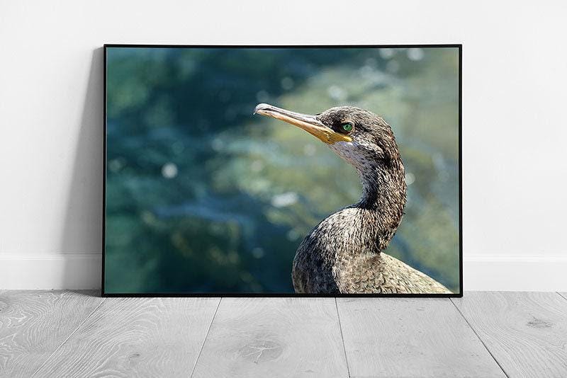 Wild Grey Duck Standing On The Seashore Against A Calm Blurred Natural Blue Seascape Wall Art Print on Paper Framed Picture print - Print Store
