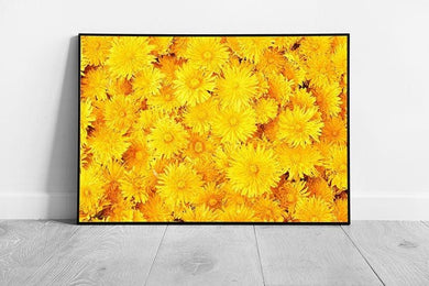 Vibrant Golden Yellow Floral Wall Art Print  Bright Spring Summer Flowers Framed Picture - Print Store