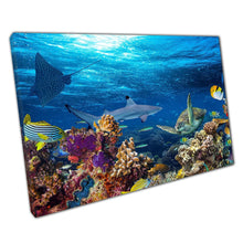 Load image into Gallery viewer, Coral Reef Ocean Wall Art Print Sea Life Shark Stingray  Tropical Fish Canvas Decor for Home or Office - Print Store
