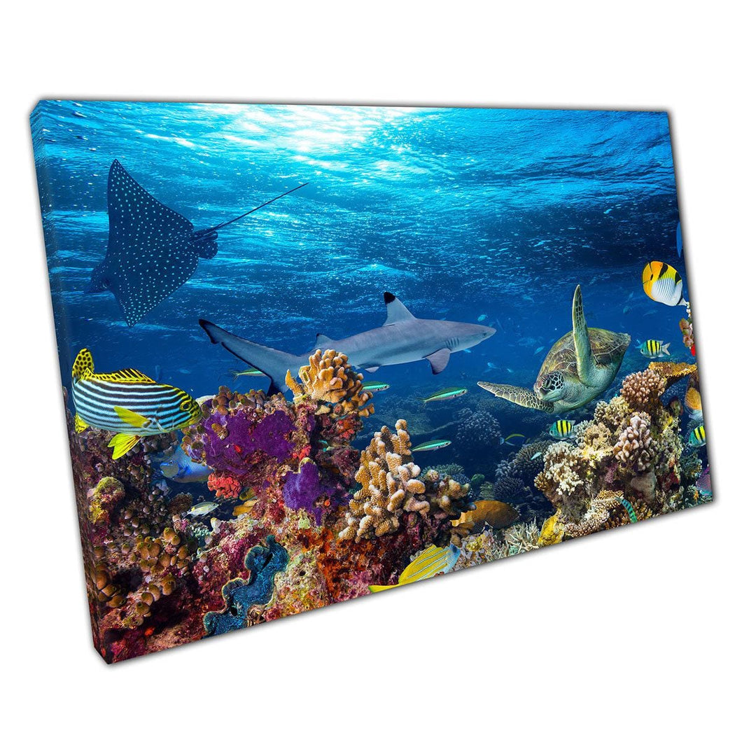 Coral Reef Ocean Wall Art Print Sea Life Shark Stingray  Tropical Fish Canvas Decor for Home or Office - Print Store
