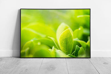 Vibrant Green Leaf Macro Photography: Framed Nature Wall Art Print for Spring Home Decor - Print Store