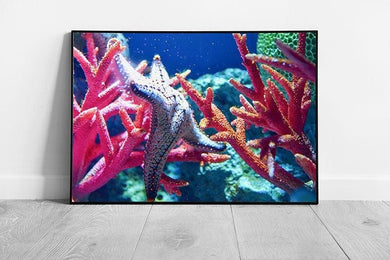 Vibrant Starfish and Coral Wall Art Print: Ocean Sea Life Decor for Beach Home, Bathroom, Nursery - Print Store
