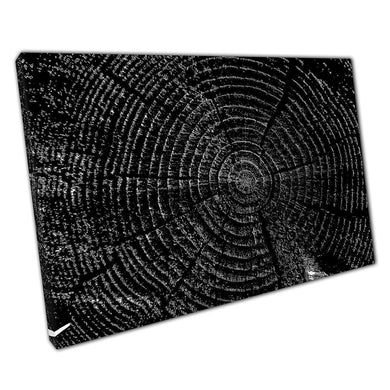 Abstract Monochrome Tree Trunk Cross-Section Canvas Print: Minimalist Wall Art for Home & Office Decor - Print Store