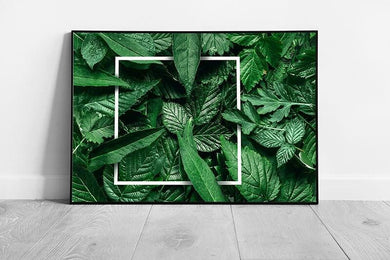 Vibrant Green Foliage Framed Wall Art Print - Nature Photography with Minimalist White Square Design - Print Store