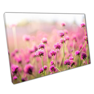 Amaranth Flowers Canvas Wall Art Print for Home Office Decor - Print Store